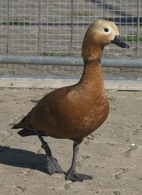 在这些反馈