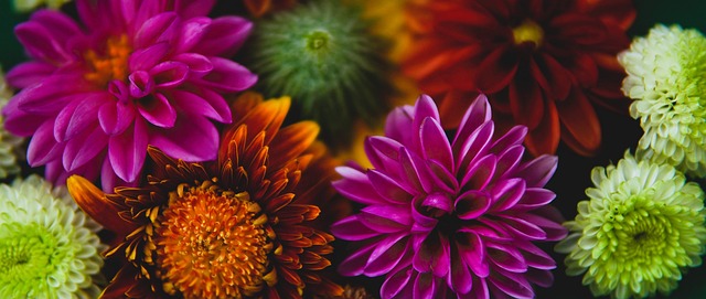 埋下了伏笔 埋下了伏笔