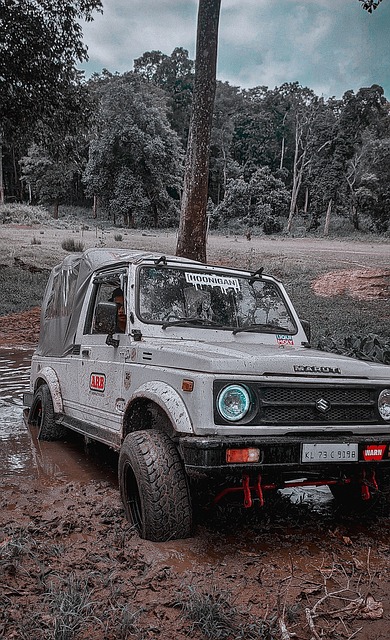 来的压制 来的压制