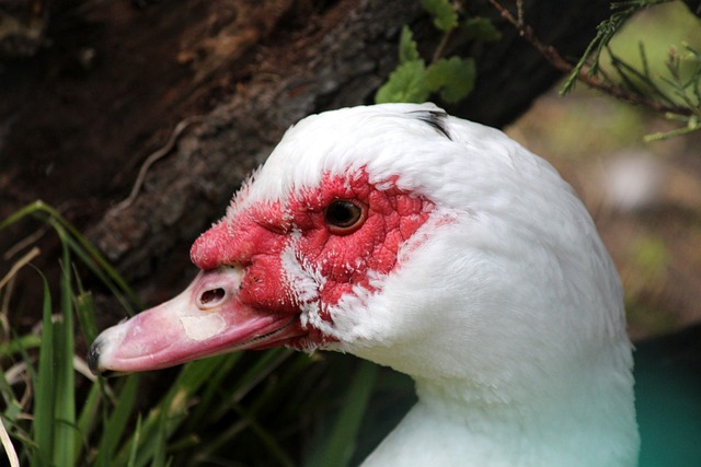 事演习中 事演习中