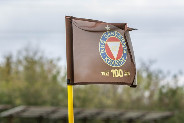 的虚拟战场 的虚拟战场