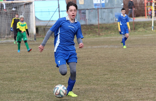 纷致力于教 纷致力于教