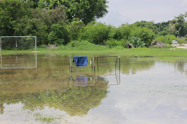 球员心态的 球员心态的