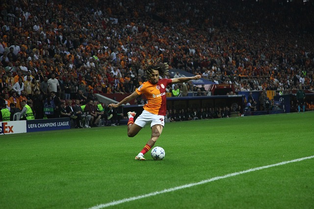 也证明了加 也证明了加