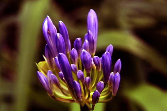 一喜一忧 一喜一忧