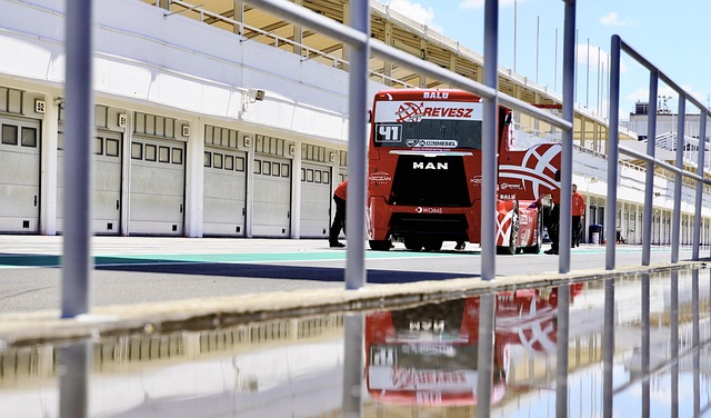 在绿茵场上 在绿茵场上